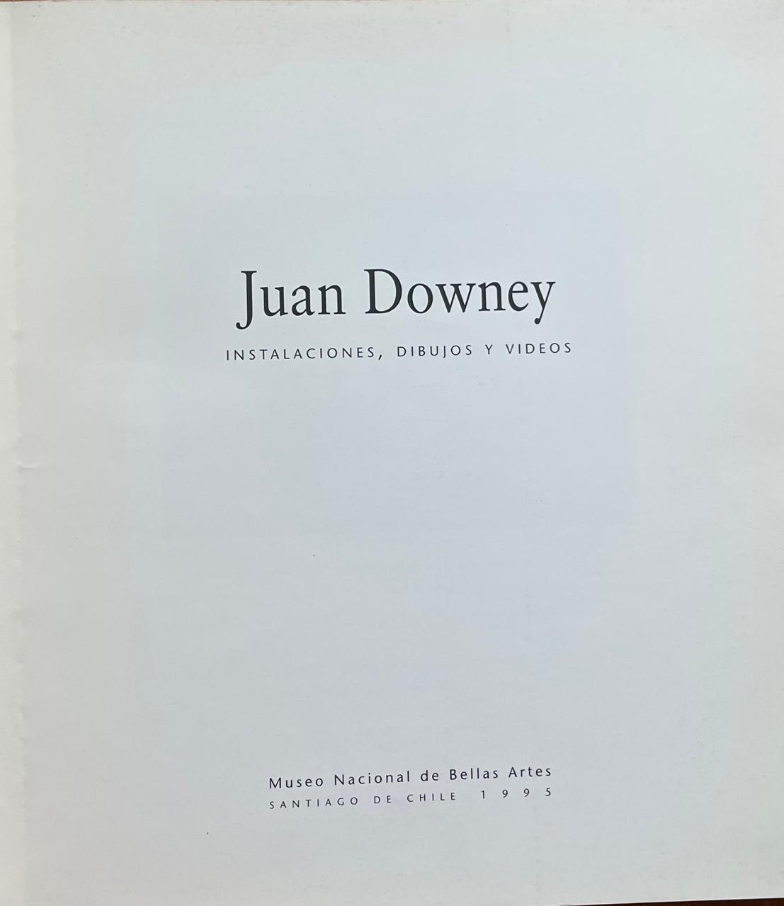 Juan Downey	Juan Downey. Instalaciones, dibujos y videos.