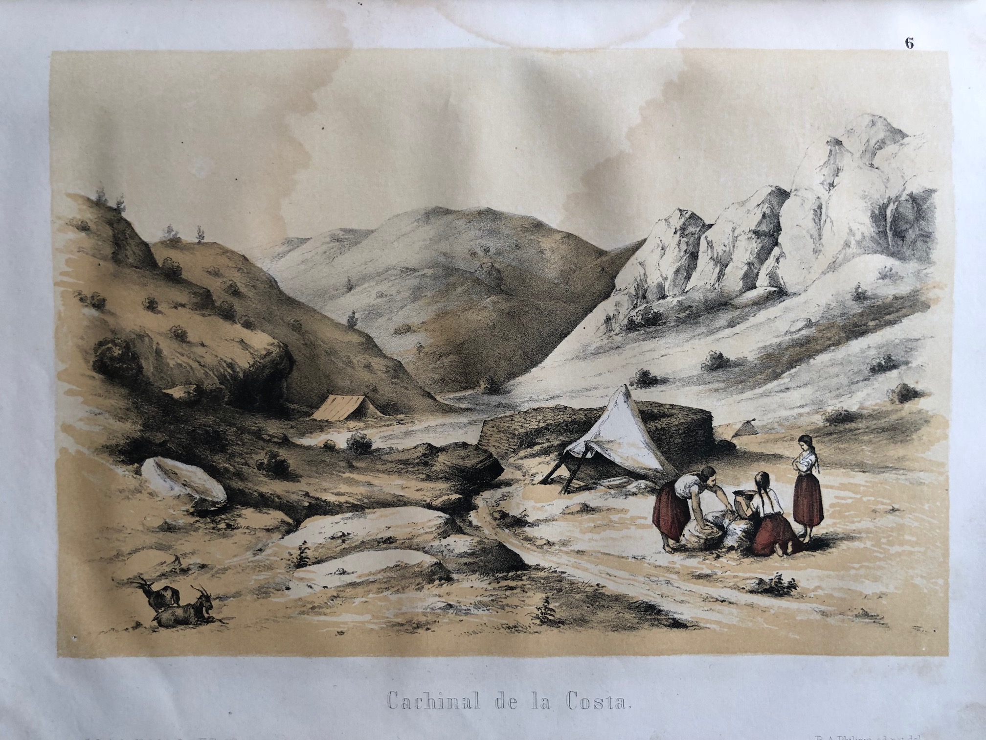 PHILIPPI, Dr. R. A. Viage al Desierto de Atacama hecho de orden del Gobierno de Chile en el verano 1853 – 1854.