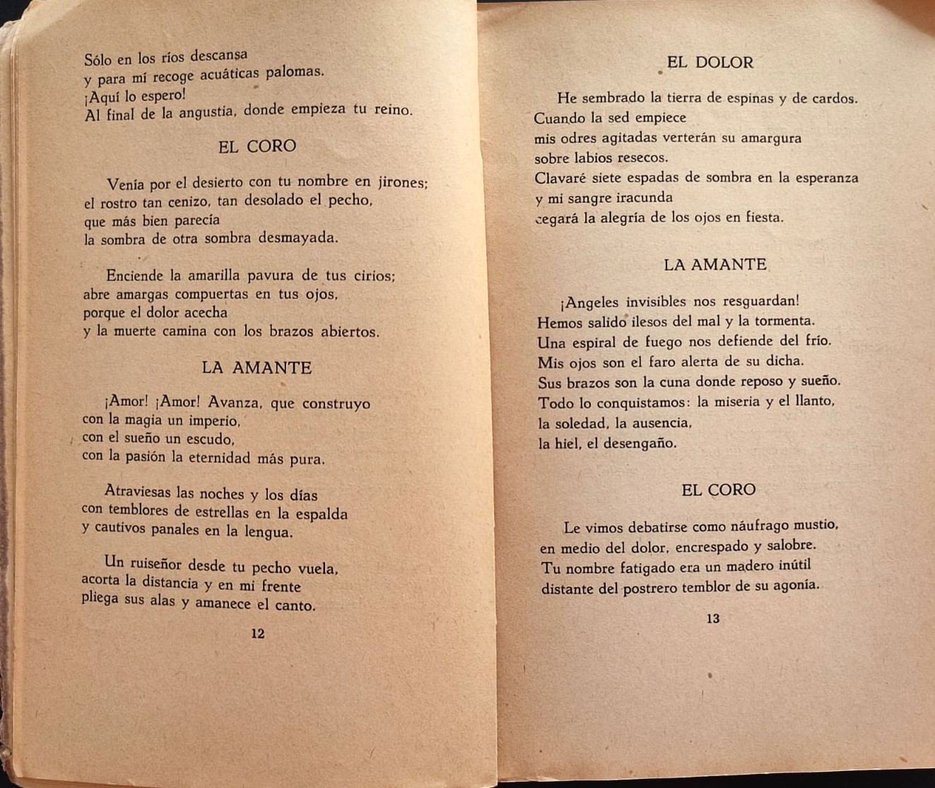 Margarita Paz Paredes.	Rebelión de ceniza. Poemas.