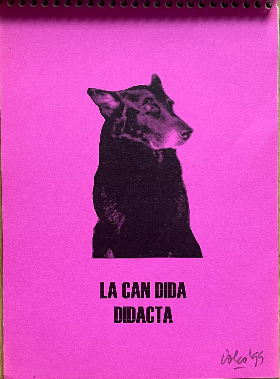 Grupo Ojo de vidrio	El candidato 