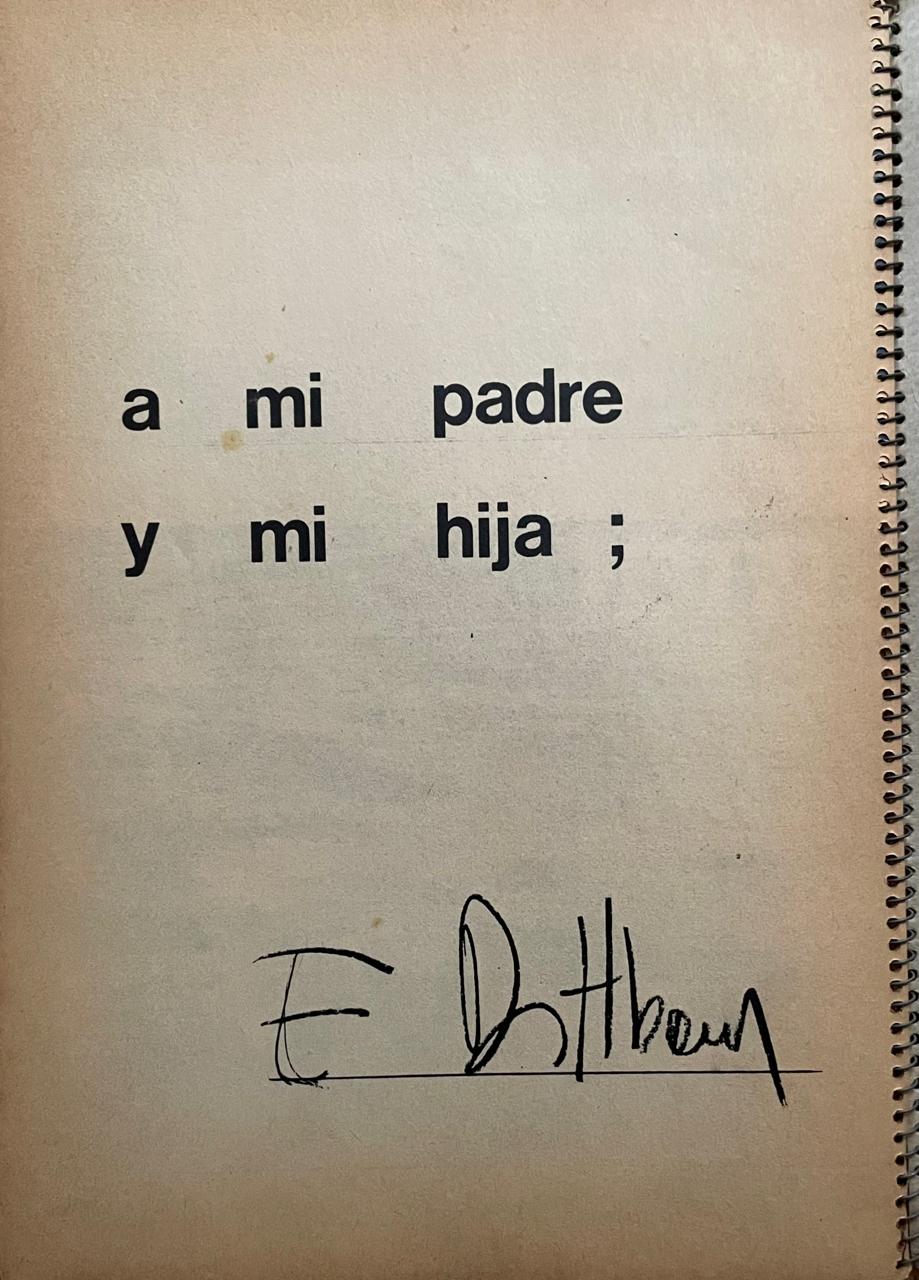 Eugenio Dittborn oestrategias y proyecciones de las plastica nacional sobre la década del ochenta