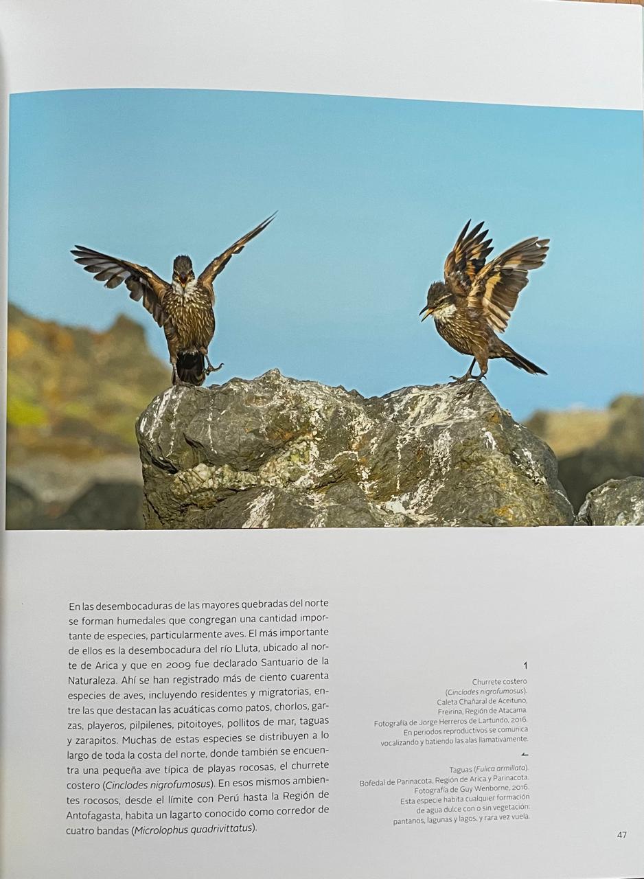 Carlos Aldunate del Solar (editor).	Fauna. Un recorrido por el endemismo de Chile