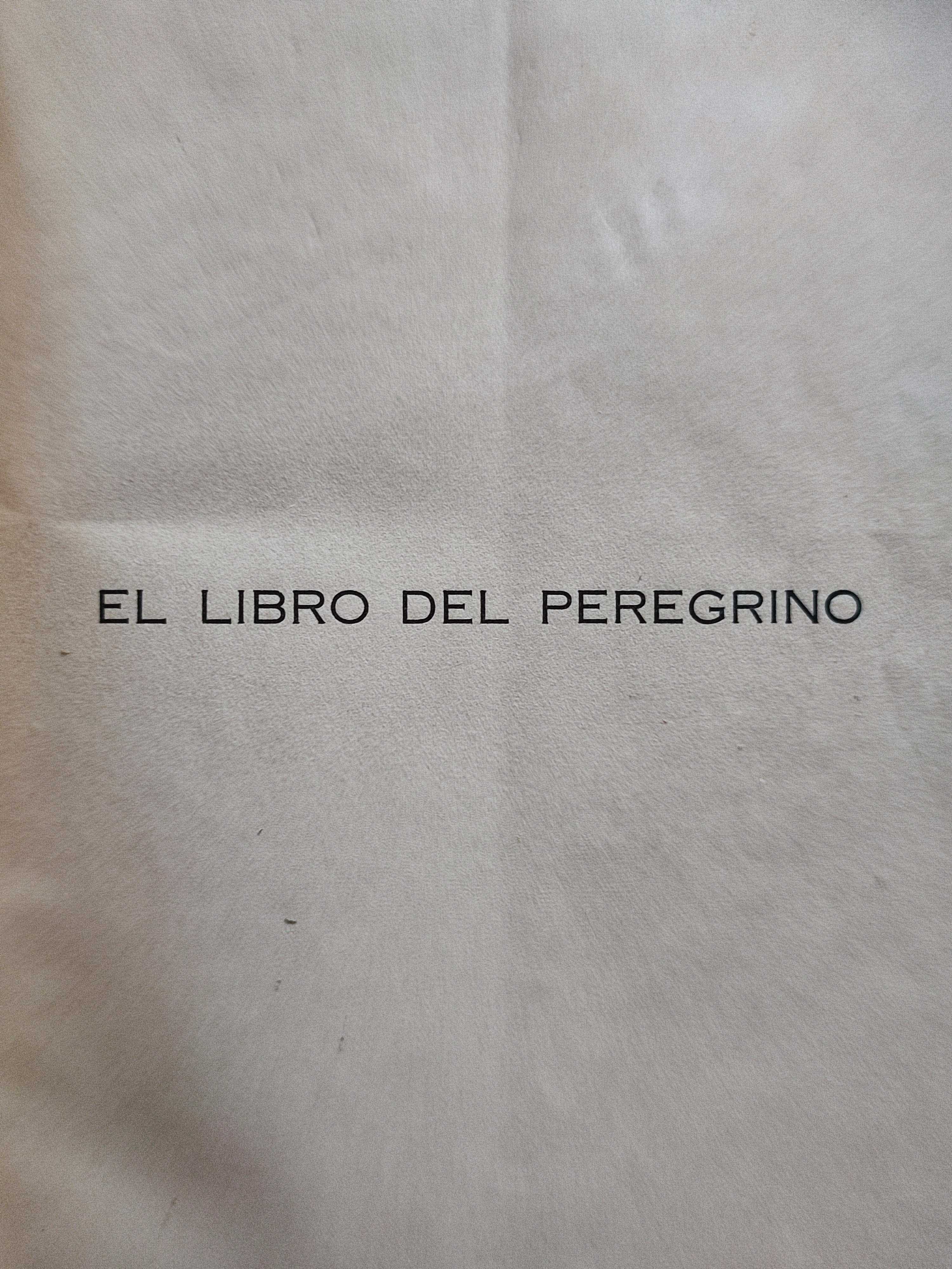 Baltasar Izaguirre Rojo. El libro del peregrino. Poemas.  