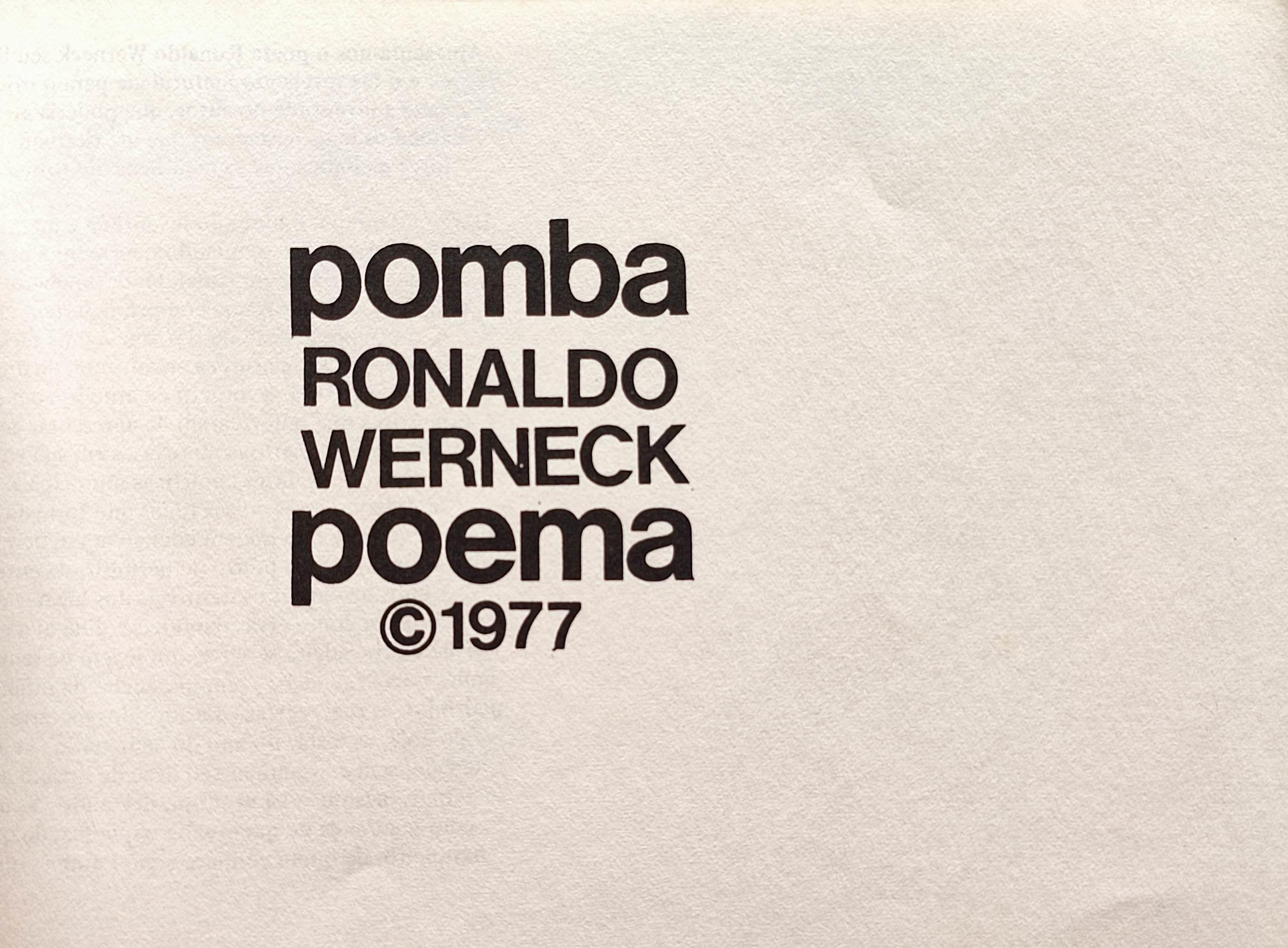 Ronaldo Werneck. Pomba poema.