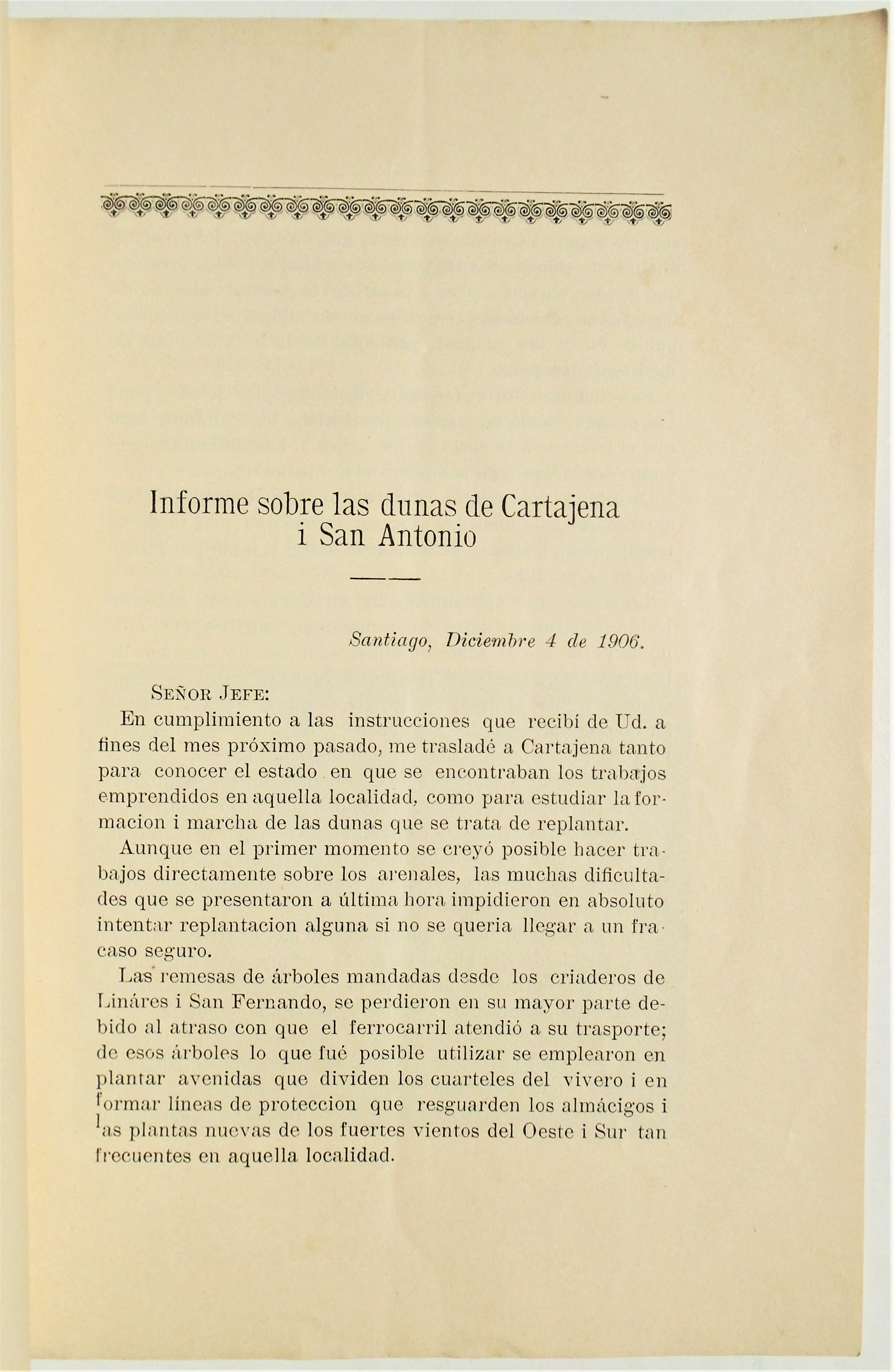 Ernesto Maldonado - Las dunas de Cartajena i San Antonio