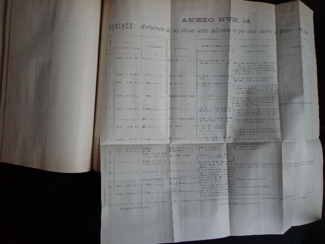 Delegación Fiscal de Salitreras (Chile) - Memoria de la Delegación Fiscal de Salitreras : presentada al señor Ministro de Hacienda : en el año 1890.