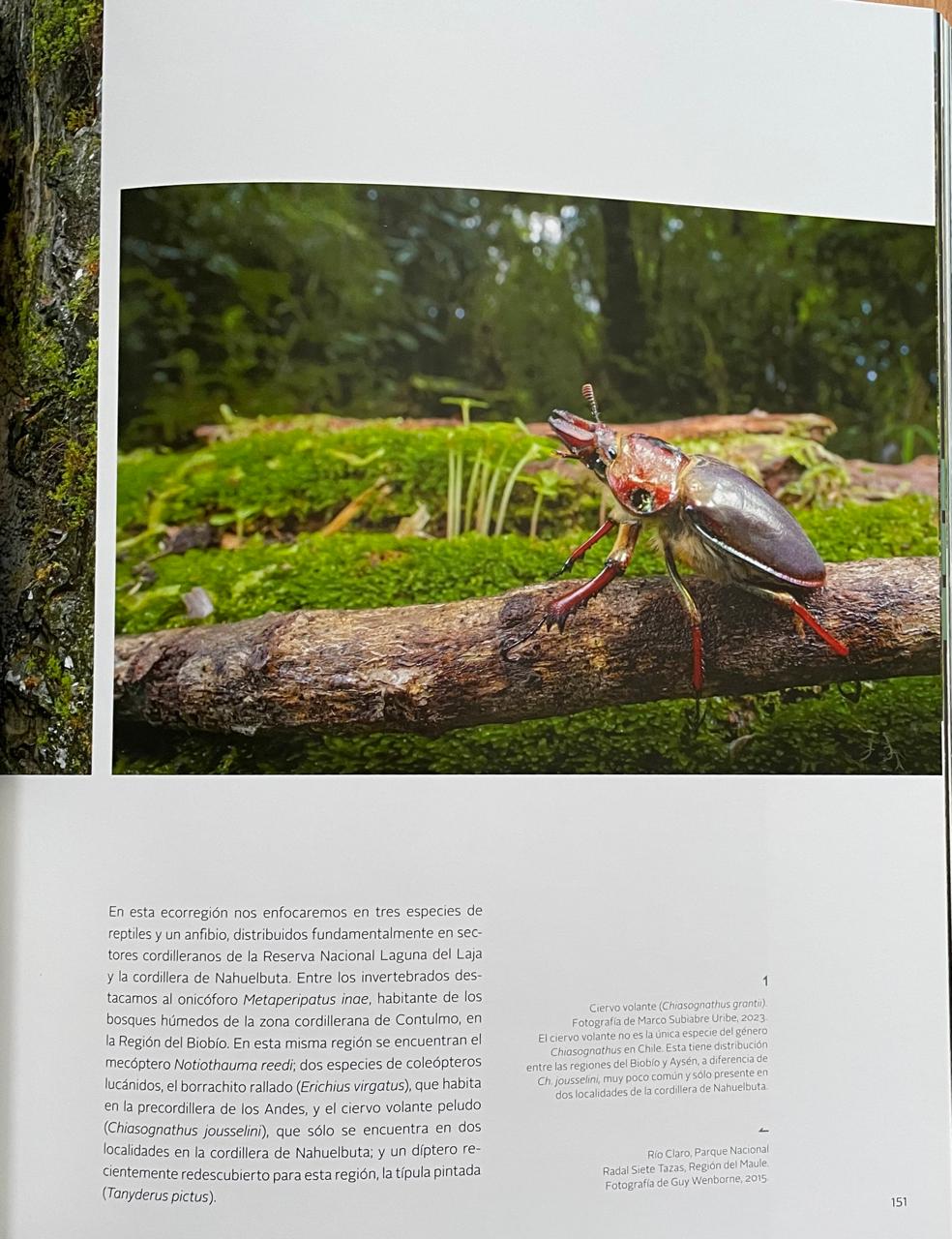 Carlos Aldunate del Solar (editor).	Fauna. Un recorrido por el endemismo de Chile