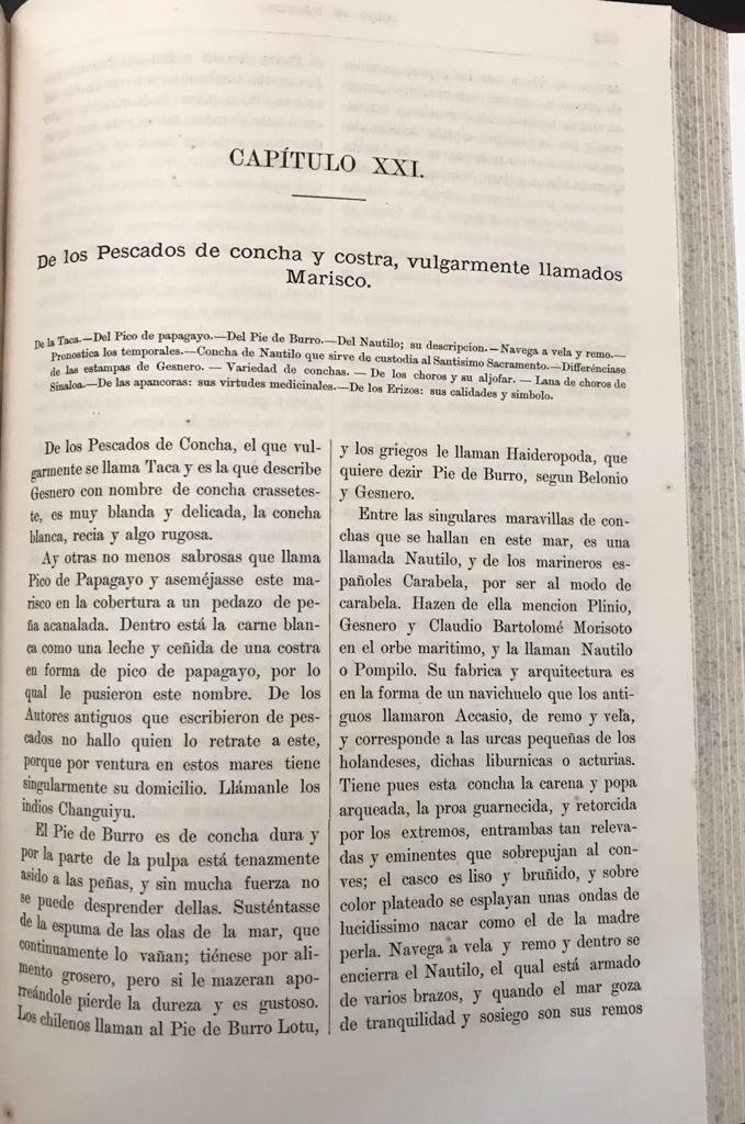  R. P. DIEGO DE ROSALES  (dada a conocer por BENJAMIN VICUÑA MACKENNA). HISTORIA GENERAL DE EL REYNO DE CHILE, FLANDES INDIANO,