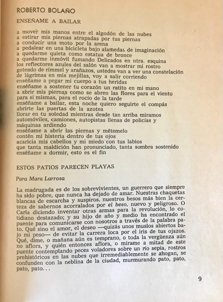 Pajaro de calor. Ocho poetas infrarrealistas