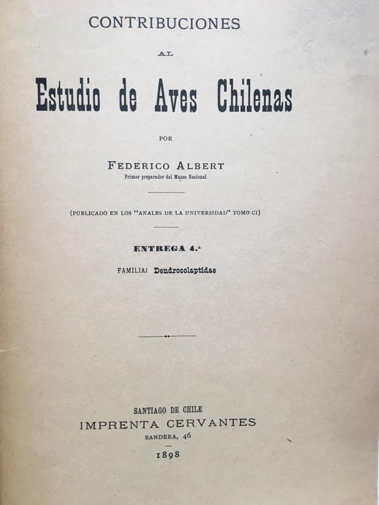 Federico  Albert. Contribuciones al Estudio de Aves Chilenas. Publicado en los Anales de la Universidad, Tomo CI, Entrega 4°: Familia: Dendrocolaptidae.