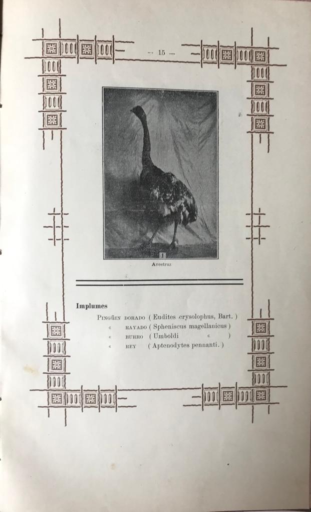 P. Marabini	Observatorio del Colejio Salesiano de Punta Arenas de Magallanes. Resumen observaciones metereologicas de veinte años (1888 - 1907). Encuadernado junto con: Museo del Colegio Salesiano de Punta Arenas. Catálogo de Colecciones Magallánicas